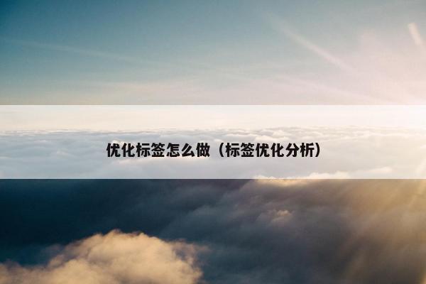 优化标签怎么做（标签优化分析）