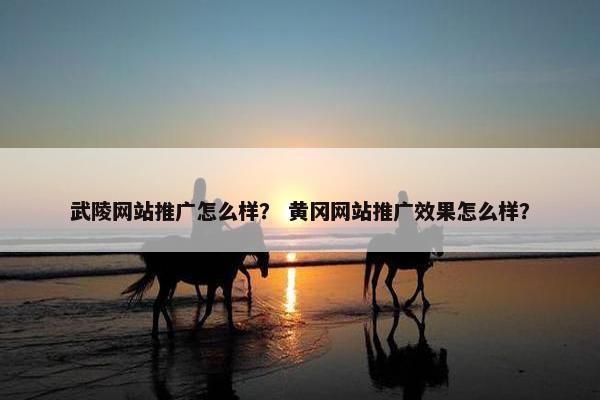 武陵网站推广怎么样？ 黄冈网站推广效果怎么样？