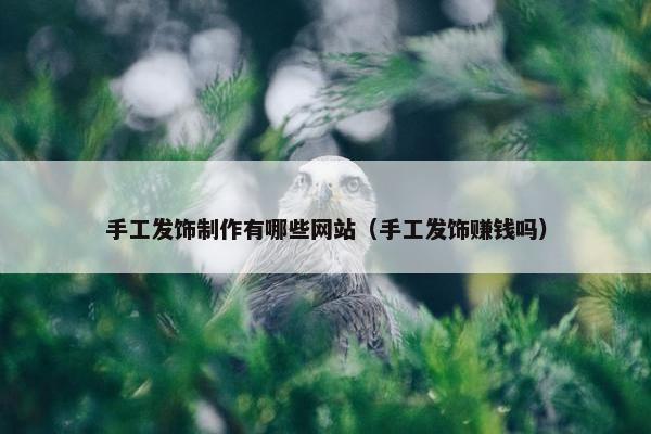 手工发饰制作有哪些网站（手工发饰赚钱吗）