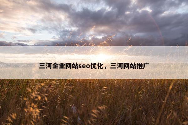 三河企业网站seo优化，三河网站推广
