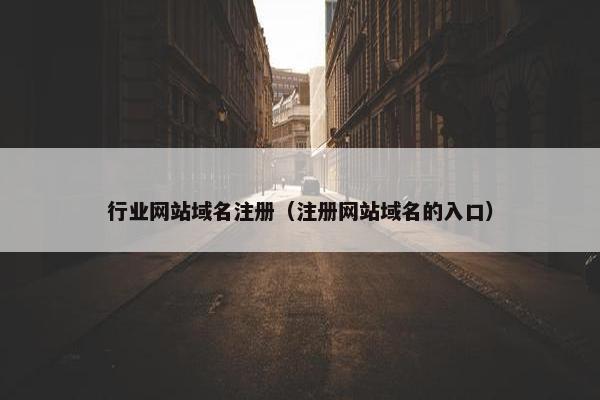 行业网站域名注册（注册网站域名的入口）