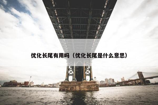 优化长尾有用吗（优化长尾是什么意思）