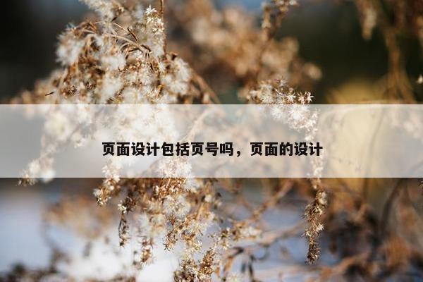 页面设计包括页号吗，页面的设计
