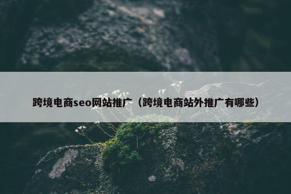 跨境电商seo网站推广（跨境电商站外推广有哪些）