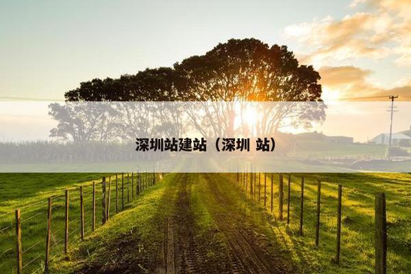 深圳站建站（深圳 站）