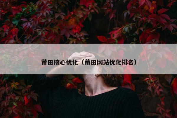 莆田核心优化（莆田网站优化排名）