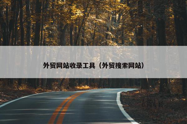 外贸网站收录工具（外贸搜索网站）