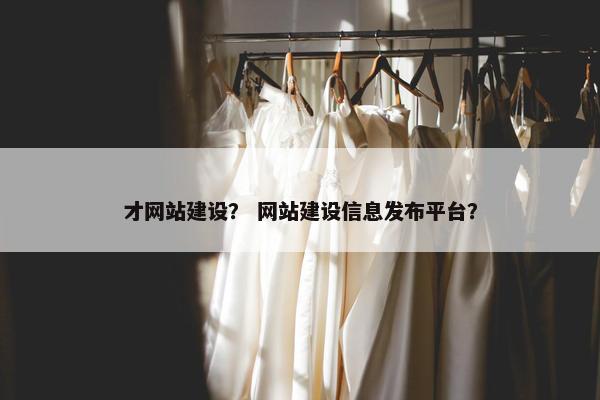 才网站建设？ 网站建设信息发布平台？