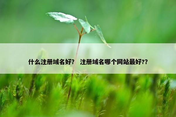 什么注册域名好？ 注册域名哪个网站最好?？