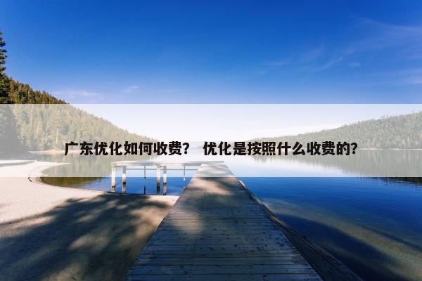 广东优化如何收费？ 优化是按照什么收费的？