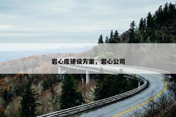 岩心库建设方案，岩心公司