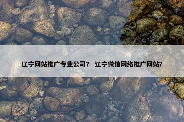 辽宁网站推广专业公司？ 辽宁微信网络推广网站？