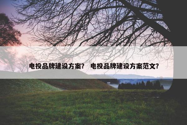 电投品牌建设方案？ 电投品牌建设方案范文？