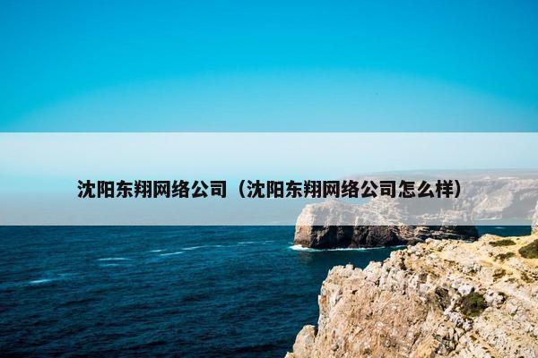 沈阳东翔网络公司（沈阳东翔网络公司怎么样）