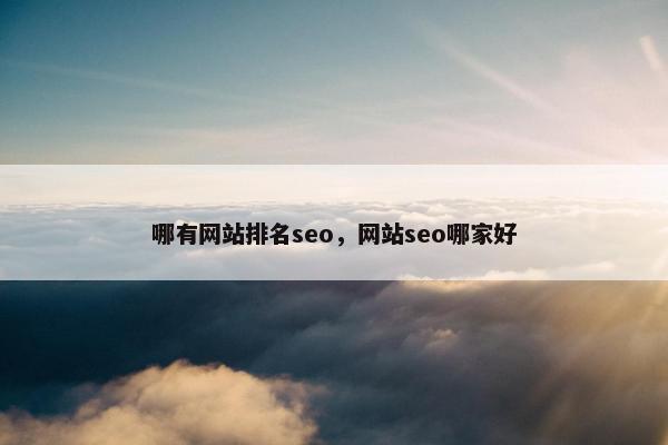 哪有网站排名seo，网站seo哪家好