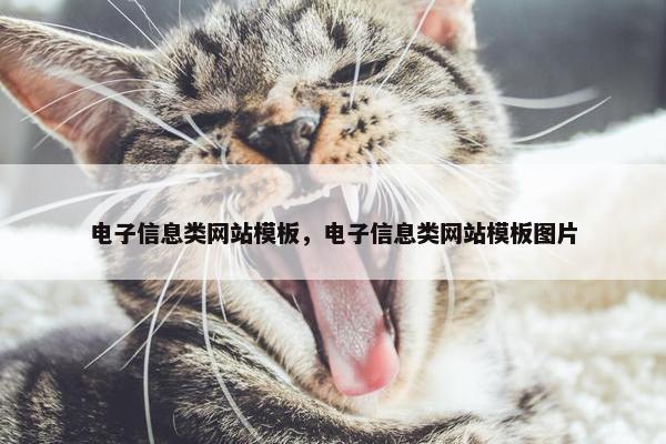 电子信息类网站模板，电子信息类网站模板图片