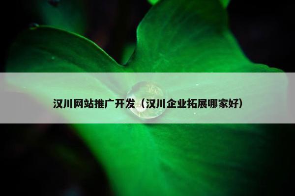 汉川网站推广开发（汉川企业拓展哪家好）