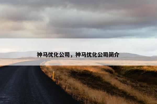 神马优化公司，神马优化公司简介