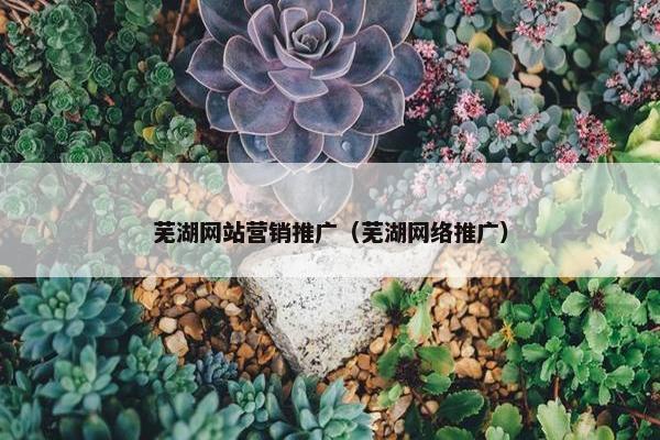 芜湖网站营销推广（芜湖网络推广）