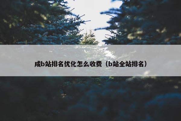 成b站排名优化怎么收费（b站全站排名）