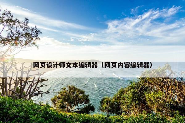 网页设计师文本编辑器（网页内容编辑器）
