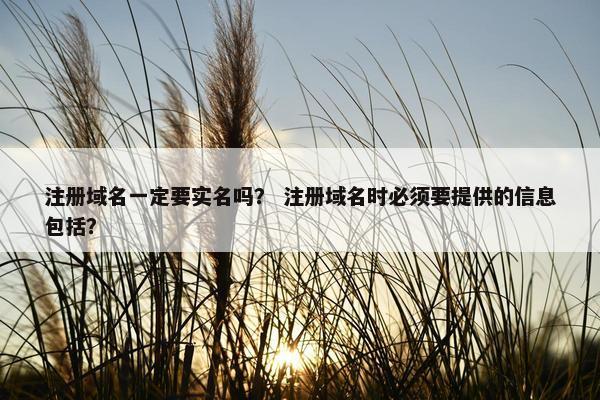 注册域名一定要实名吗？ 注册域名时必须要提供的信息包括？