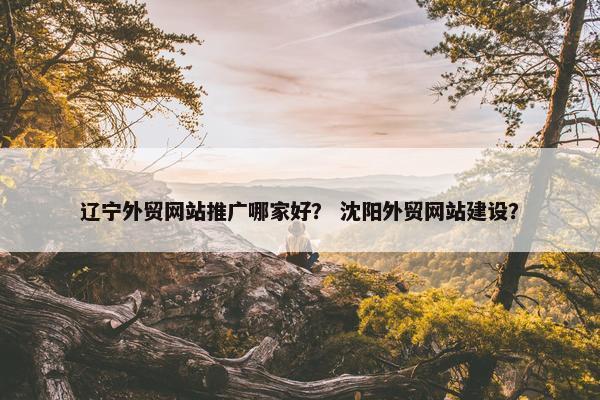 辽宁外贸网站推广哪家好？ 沈阳外贸网站建设？