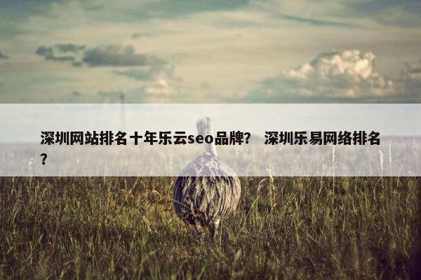 深圳网站排名十年乐云seo品牌？ 深圳乐易网络排名？