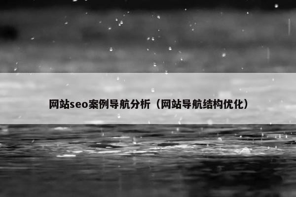 网站seo案例导航分析（网站导航结构优化）