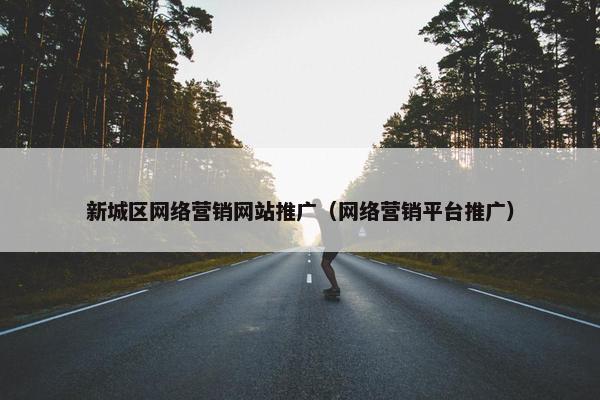 新城区网络营销网站推广（网络营销平台推广）