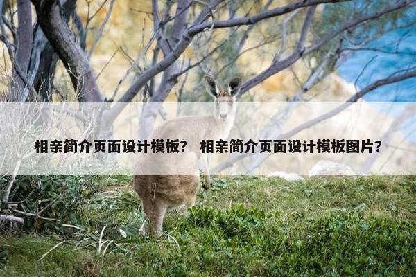 相亲简介页面设计模板？ 相亲简介页面设计模板图片？