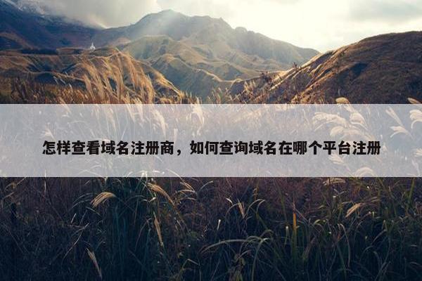 怎样查看域名注册商，如何查询域名在哪个平台注册