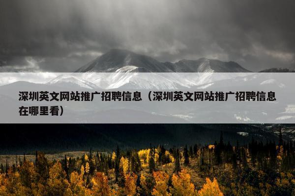 深圳英文网站推广招聘信息（深圳英文网站推广招聘信息在哪里看）
