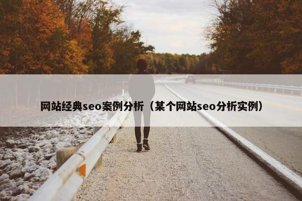 网站经典seo案例分析（某个网站seo分析实例）