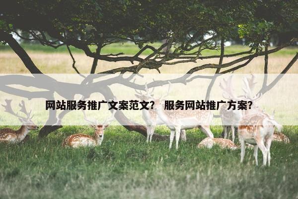 网站服务推广文案范文？ 服务网站推广方案？