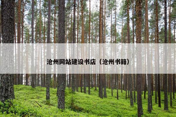 沧州网站建设书店（沧州书籍）