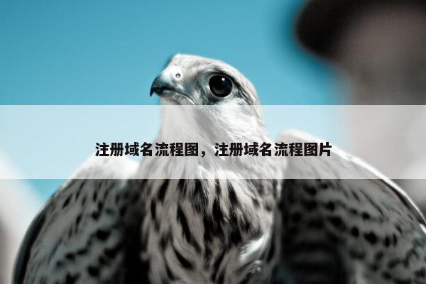 注册域名流程图，注册域名流程图片