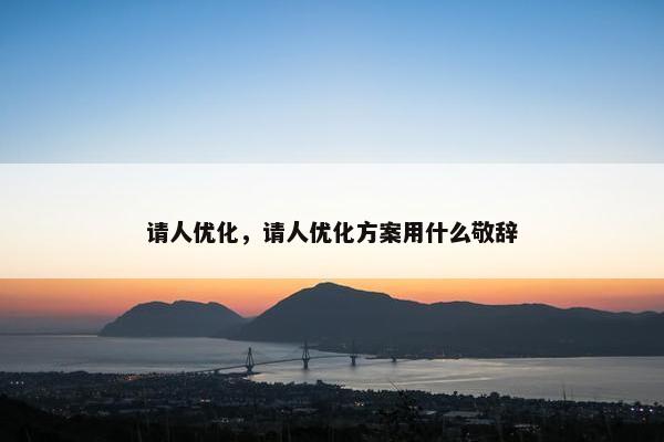 请人优化，请人优化方案用什么敬辞