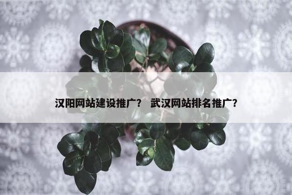 汉阳网站建设推广？ 武汉网站排名推广？