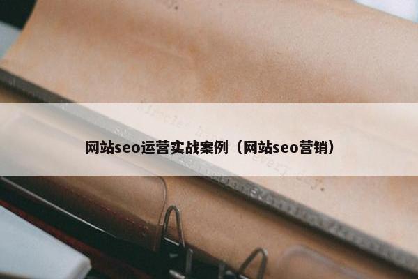 网站seo运营实战案例（网站seo营销）