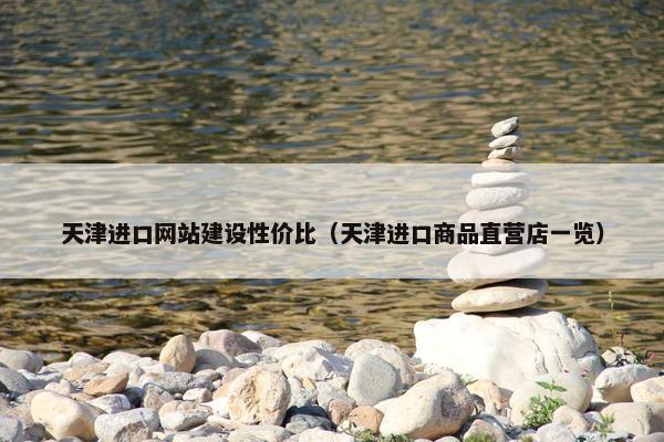 天津进口网站建设性价比（天津进口商品直营店一览）