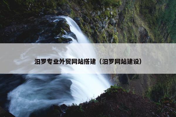 汨罗专业外贸网站搭建（汨罗网站建设）