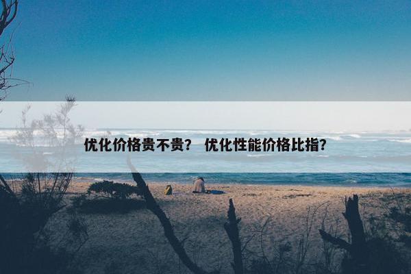 优化价格贵不贵？ 优化性能价格比指？
