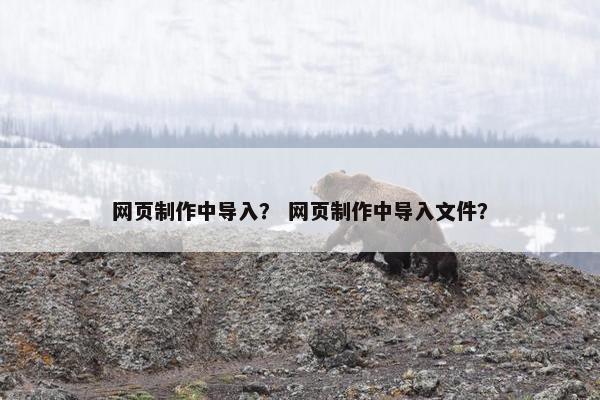 网页制作中导入？ 网页制作中导入文件？