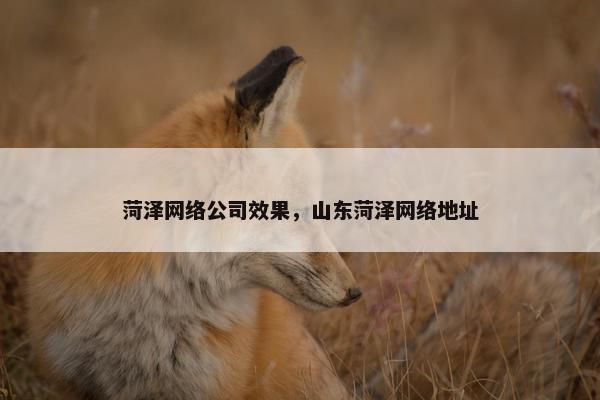 菏泽网络公司效果，山东菏泽网络地址
