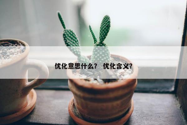 优化意思什么？ 优化含义？