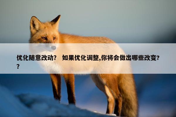 优化随意改动？ 如果优化调整,你将会做出哪些改变?？
