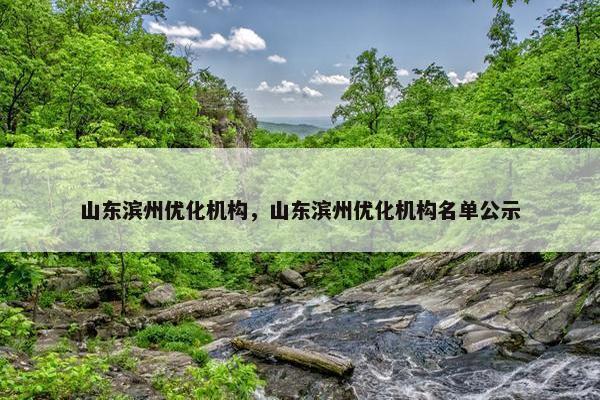 山东滨州优化机构，山东滨州优化机构名单公示