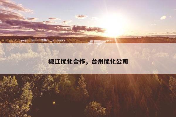椒江优化合作，台州优化公司