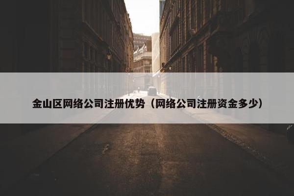 金山区网络公司注册优势（网络公司注册资金多少）